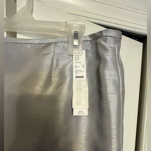 Silver Metallic Skirt